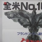 The Crow 1994  Original Movie Poster Japanese B2 Brandon Lee