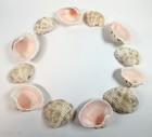Lady In Waiting Venus Seashell Lot 12pcs Clam Shells Pink Craft Beach Decor