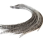 Wholesale 50pcs   black   White  10 -14  Salon Grade Feather Extension  Diy Kit