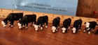 Custom Cm Ertl 1 64 Lot Of 10 Black Baldy Angus Hereford Cow Cattle Beef Steers 