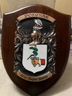 Sale genuine Irish  donovan  Family Coat Of Arms-mahogany bronze-handpainted-new