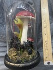Ashland Alices Adventures Alice In Wonderland Glass Dome Mushroom Venus Flytrap