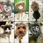 Furry Lion Hair Mane Dog   Cat Hat W  Ears Cute Costume Headwear Pet Accessory