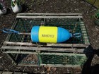 Free Ship 995 Big Maine Lobster Buoy Nautical Wedding Pot Bouy Float Shore Cape
