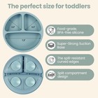 Eascrozn 2 Pack Baby Plates With Suction  2 Silicone Forks Unisex  Blue 