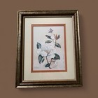 Mimi Loup Brown Magnolia Print Limited Signed 31 250 Framed 9 5x11 5 Art