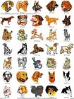 644 Dogs Embroidery Machine Designs Collection Pes Usb Drive