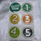 Baby Milestone Stickers Months Holidays Enfamil Baby First Birthday Photo Props