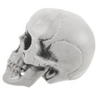 Fake Skull Decor Halloween Skeleton Head Halloween Skull Decorations