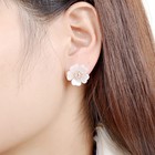 Women s 925 Sterling Silver Elegant Crystal Plum Flower Ear Stud Daisy Earrings