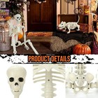 Ayieyill 2pcs Skeleton And Dog Skeleton Indoor Outdoor Halloween Decorations