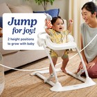 Graco Jumpstart 4-in-1 Adjustable Infant 30 79 X 29 5 X 21 4 Inch  Wren 