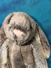 Jellycat Woodland Bashful Bunny Rabbit Euc  Plush Stuffed Animal Toy 31 Cm
