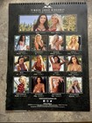 2019 Timber Lodge Hideaway   Twin Peaks Calendar   Pre-owned 12x16