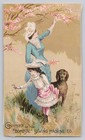 1880 s Domestic Sewing Machine Co Woman Child Picking Flowers  Dog