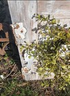 Old Cabinet Door With Chippy Paint With Small Hanging Wreath