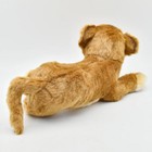 Hansa Lion Cub Plush 26cm Realistic Baby Lion Stuffed Animal Collectible Toy