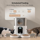 Automatic Cat Feeder For Two Cats  5l Stainless Steel Dry Food Dispenser