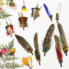 10pcs Hat Feathers  Natural Feathers Peacock Feathers For Hats  Colorful Feather