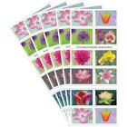 Usps Garden Beauty Forever Postage Stamps 5 Books Of 20 Us Postal First Class