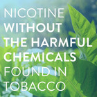 Equate Coated Nicotine Polacrilex Gum  4 Mg  nicotine   Cinnamon Flavor  Stop Sm