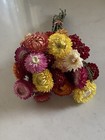Dried Strawflowers Bunch Bouquet Bundle Dried Flowers    Assorted Auc 3