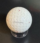 Beautiful  1930s Blue Bird Molded Mesh  Golf Ball