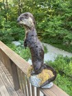 Vintage Full Body Taxidermy River Otter On Stone Base Curious Upright Pose