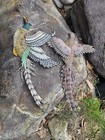  2  Vintage Wall Flying Pheasants Metal Feathers   Polymer Body 24 l