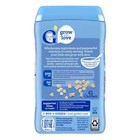  2 Pack  Gerber Stage 1 Baby Food  Baby Oatmeal Cereal  8g Whole Grains  Infant