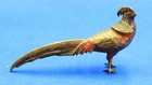 Antique Cold Painted Bronze Figure Of Ring Neck Pheasant Beautiful