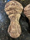 2-vintage Bath Tub Feet Cast Iron