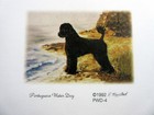 Portuguese Water Dog Refrigerator Magnetic 2 List Pads 3 75  X 8 5  - 100 Pages