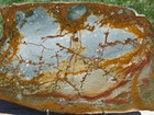 Tcr Rocky Butte Picture Jasper agate lapidary Polished Slab 596 Grams