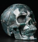 3 5  Blue Apatite Carved Crystal Skull  Realistic  Crystal Healing