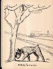 Antique Schnauzer Print 1930s Humorous Schnauzer Illustration Art By Zito 6883g
