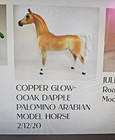 Peter Stone Copper Glow 2020  Arabian Stallion Signed Audrey Dixon Ooak