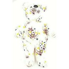 Salvinos Bammers Mcgwire Bear 25th 4th Of July Plush Bean Bag Bear