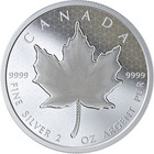 2020 Pml Pulsating Maple Leaf  10 2oz Pure Silver Proof Coin Canada
