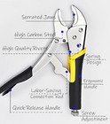 Vice Grips 10 Inch anti-rust spring-loaded one-handed Operation 