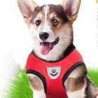 Breathable Mesh Small Dog Pet Harness And Leash Set Puppy Cat Vest Harness Cat A