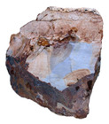 19 Pound 2 6 Ounce 8690 Gram Oregon Owyhee Picture Jasper Cab Rough Sr13 81825