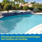 In The Swim Algaecide For Swimming Pools     Green And Yellow Algae Preventative    