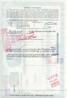 Admiral Corporation Stock Certificate 100 Shares