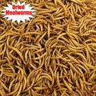 10lbs Bulk Dried Mealworms High Protein Non-gmo For Wild Birds Chickens Treats 