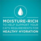   Grain Free Natural Variety Pack  Wet Cat Food Pate  3 Oz Cans  12 Count 