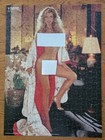 Vintage Playboy Playmate Puzzle Dec 1980 Terri Welles Suitcase Complete See Pics