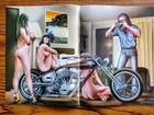 Lot Of 5 Used Easyriders Magazine David Mann Pullout Centerfold Harley Poster 