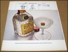 1967 Seagram s Extra Dry Gin Print Ad Advertisement The Perfect Martini Gin Vtg