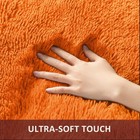 Ophanie Orange Rugs For Living Room Bedroom  5x8 Fluffy Fuzzy Furry Carpet  Plus